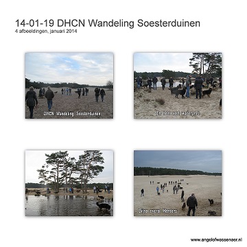 DHCN Wandeling Soesterduinen, foto's Ton